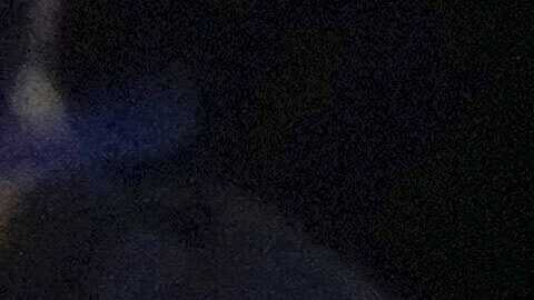 La presidenta Delcy Rodríguez realizó el anuncio oficial.