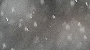 Por tercer año consecutivo, el Inter Miami es eliminado de la Concachampions.