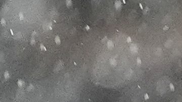 Por tercer año consecutivo, el Inter Miami es eliminado de la Concachampions.