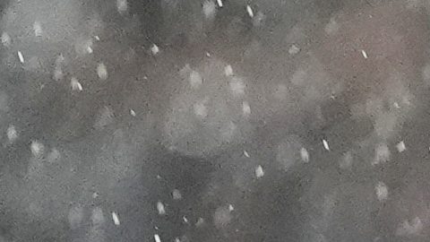 Por tercer año consecutivo, el Inter Miami es eliminado de la Concachampions.