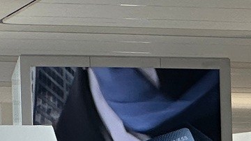 Al igual que enviar agentes de ICE a aeropuertos, exasesor de Trump sugiere mandarlos a centros de votación.