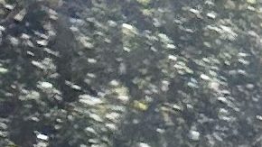 Tiger Woods realiza una llamada con su celular a un lado del vehículo volcado que conducía unos minutos antes en Jupiter Island, donde fue arrestado bajo sospecha de conducir intoxicado.