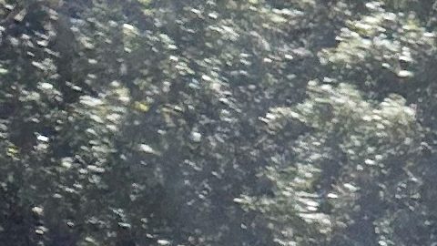 Tiger Woods realiza una llamada con su celular a un lado del vehículo volcado que conducía unos minutos antes en Jupiter Island, donde fue arrestado bajo sospecha de conducir intoxicado.