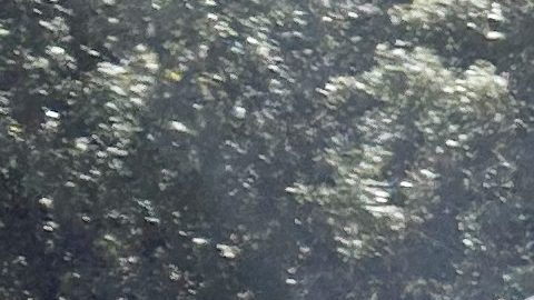 Tiger Woods permanece junto a su vehículo después del accidente en Florida.