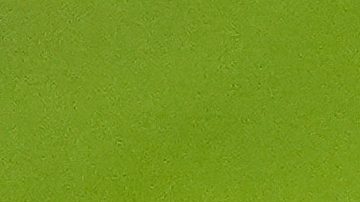 Los jugadores de los Dodgers presumen ante sus fans los espectaculares anillos de campeones de la pasada Serie Mundial durante una ceremonia realizada antes de su segundo juego de la temporada 2026 en contra de Arizona.