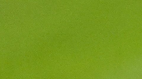 Los jugadores de los Dodgers presumen ante sus fans los espectaculares anillos de campeones de la pasada Serie Mundial durante una ceremonia realizada antes de su segundo juego de la temporada 2026 en contra de Arizona.