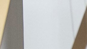 Este bloqueo ha afectado la financiación de la TSA y ha contribuido a la salida de personal.
