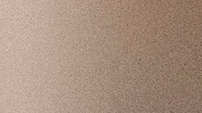 A federal agent wears a badge of Immigration and Customs Enforcement at the immigration court at Jacob K. Javits Federal Building in New York, Monday, June 9, 2025. (AP Photo/Yuki Iwamura)