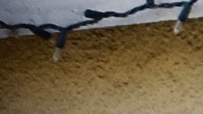 An FBI evidence response team agent enters a building on the grounds of the Kingdom of Jesus Christ Church in the Van Nuys section of Los Angeles on Wednesday, Jan. 29, 2020. The FBI raided a Philippines-based church in Los Angeles to arrest leaders of an alleged immigration fraud scheme that resulted in sham marriages. Federal prosecutors said Wednesday that three leaders of the local branch of the Kingdom of Jesus Christ were arrested in morning raids. (AP Photo/Richard Vogel)