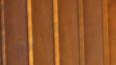 Agentes del ICE hicieron uso de apps para hayar comunidades con mayor número de inmigrantes