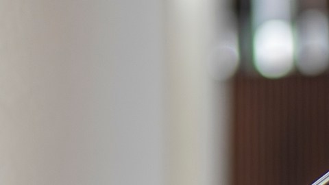 Prohibición de flúor incrementará costos de atención dental y afectará a próxima generación de niños en EE.UU.
