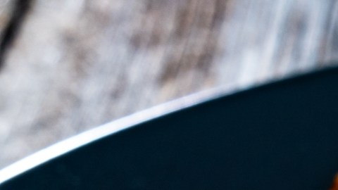 Expertos resaltan que la clave para perder peso podría ser barata y sencilla