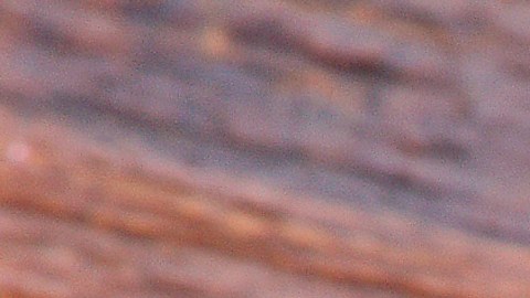 Así es la moneda de 1943 que puede valer hasta $840,000 en el mercado de subastas