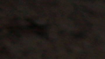 In this Aug. 4, 2013 photo, a pack of strays attack another street dog in the Villa Maria del Triunfo district in Lima, Peru. Perus economy nearly doubled in size over the past decade, the International Monetary Fund ranking it as worlds eighth-fastest growing economy. (AP Photo/Rodrigo Abd)