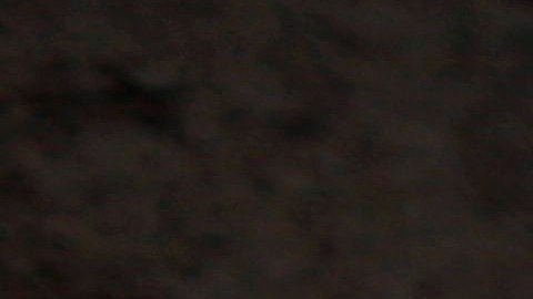 In this Aug. 4, 2013 photo, a pack of strays attack another street dog in the Villa Maria del Triunfo district in Lima, Peru. Perus economy nearly doubled in size over the past decade, the International Monetary Fund ranking it as worlds eighth-fastest growing economy. (AP Photo/Rodrigo Abd)