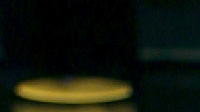 Bárbara de Regil La Casa de los Famosos