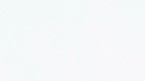 El cumpleaños 71 de Bruce Willis: el amor de su familia en medio de la lucha contra la demencia