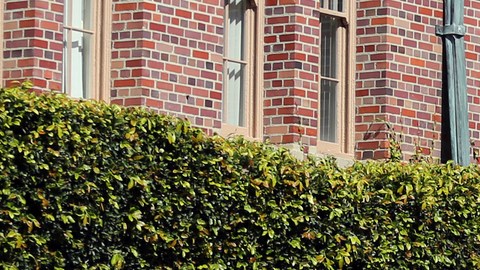 FILE - In this Tuesday, March 12, 2019 file photo, people pose for photos in front of the iconic Tommy Trojan statue on the campus of the University of Southern California in Los Angeles. The university says a review of students possibly connected to a college admissions bribery scandal could lead to expulsions. The university said in a statement Monday, March 18, 2019, it has placed holds on the accounts of those students, which prevents them from registering for classes or acquiring transcripts while their cases are under review. (AP Photo/Reed Saxon,File)