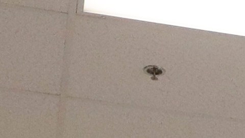 In this Wednesday, Aug. 28, 2019, photo shows a guard walks a with a detainee in the intake area at the Adelanto ICE Processing Center in Adelanto, Calif. The facility is a privately operated immigration detention center run by the GEO Group, which can house up to about 1900 total immigrant detainees, both male and female. (AP Photo/Chris Carlson)