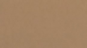 Está preparando una gira para llevar su nueva experiencia por varias ciudades.