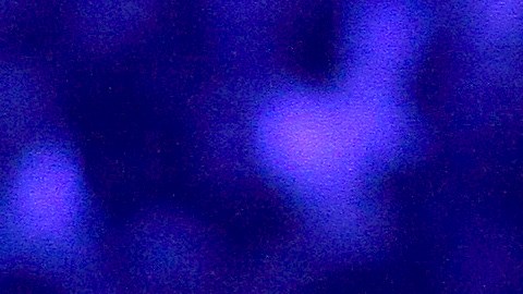 Christian Nodal Universal Music