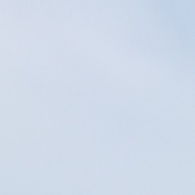 Costco, regla de la ropa doble