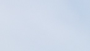 Costco, regla de la ropa doble