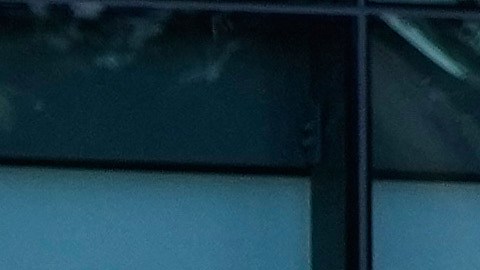 A student walks past a statue of César Chavez which has been covered with plywood at California State University, Fresno in Fresno, Calif., Wednesday, March 18, 2026. (AP Photo/Godofredo A. Vásquez)