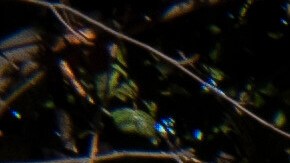 A Department of Homeland Security (DHS) facility in Washington, Friday, Feb. 13, 2026. (AP Photo/Cliff Owen)