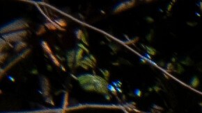 A Department of Homeland Security (DHS) facility in Washington, Friday, Feb. 13, 2026. (AP Photo/Cliff Owen)