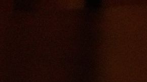 Trump reconoció el gobierno de Delcy Rodríguez.