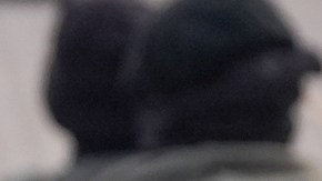 Denver aprueba ley que prohíbe el uso de pasamontañas a agentes federales y exige identificación visible