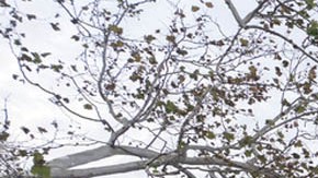 Edificio del Departamento de Estado