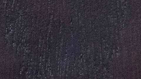 The seal of U.S. Department of Homeland Security is seen before the news conference with Acting director of U.S. Immigration and Customs Enforcement (ICE) Todd Lyons at ICE Headquarters, in Washington, Wednesday, May 21, 2025. (AP Photo/Jose Luis Magana)