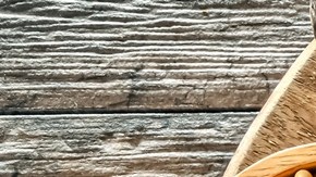 Una particular dieta basada en vegetales ayuda a mantener joven el cerebro