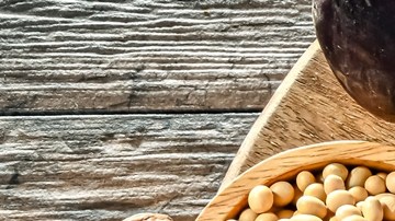 Una particular dieta basada en vegetales ayuda a mantener joven el cerebro