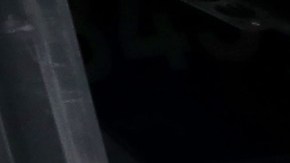 Los aficionados de Los Angeles Dodgers pueden llegar al estadio en autobús con el "Dodger Stadium Express".