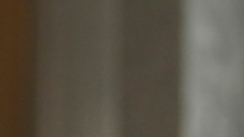 Doja Cat critica las declaraciones de Timothée Chalamet sobre el teatro y la ópera: “Te sientas y te callas”