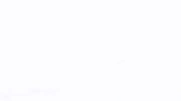 Donald Trump, presidente estadounidense