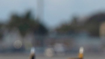 Donald Trump, presidente estadounidense