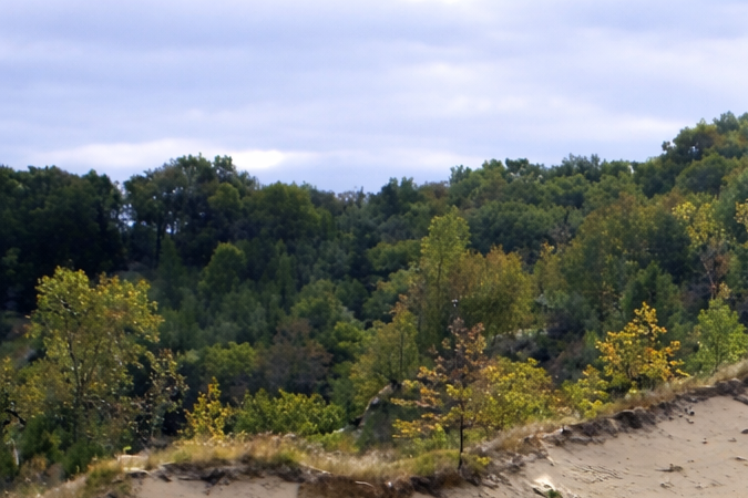 Dunas y arena húmeda en Indiana Dunes National Park junto al Lago Michigan