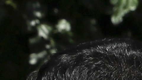 El ayatolá Mojtaba Jamenei fue designado como nuevo líder supremo de Irán