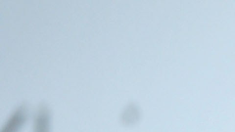 Emma Watson Gonzalo Hevia Baillères