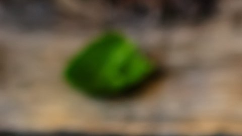 La espinaca es un superalimento, pero no puede ser consumida por todos: ¿por qué es contraindicada en casos especiales?