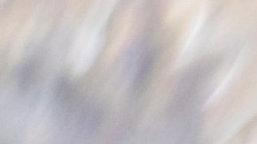 Estados evalúan impacto del redondeo tras la eliminación del centavo