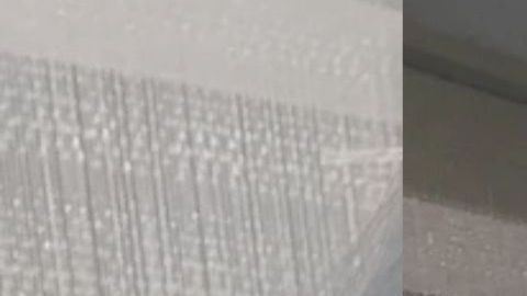 Estefany Rodríguez fue detenida por agentes de ICE y se desconoce su paradero.