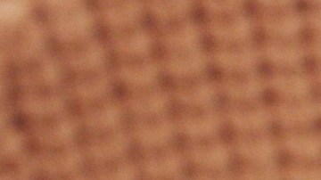 FDA anuncia retiro del mercado de golosinas para mascotas por riesgo de contaminación con salmonela