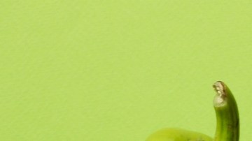 Cómo puedes influir en la alimentación saludable de tus niños