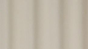 Gavin Newsom, gobernador de California