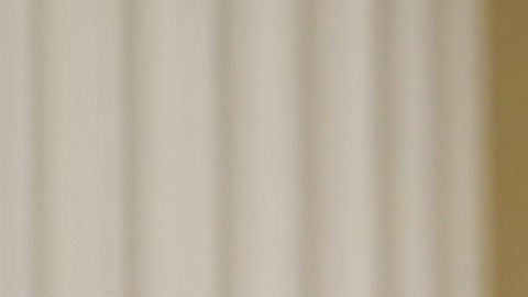 Gavin Newsom, gobernador de California